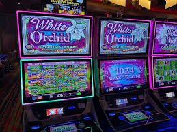 Antarmuka prediksi pertandingan dalam Mode Turnamen hitz4d